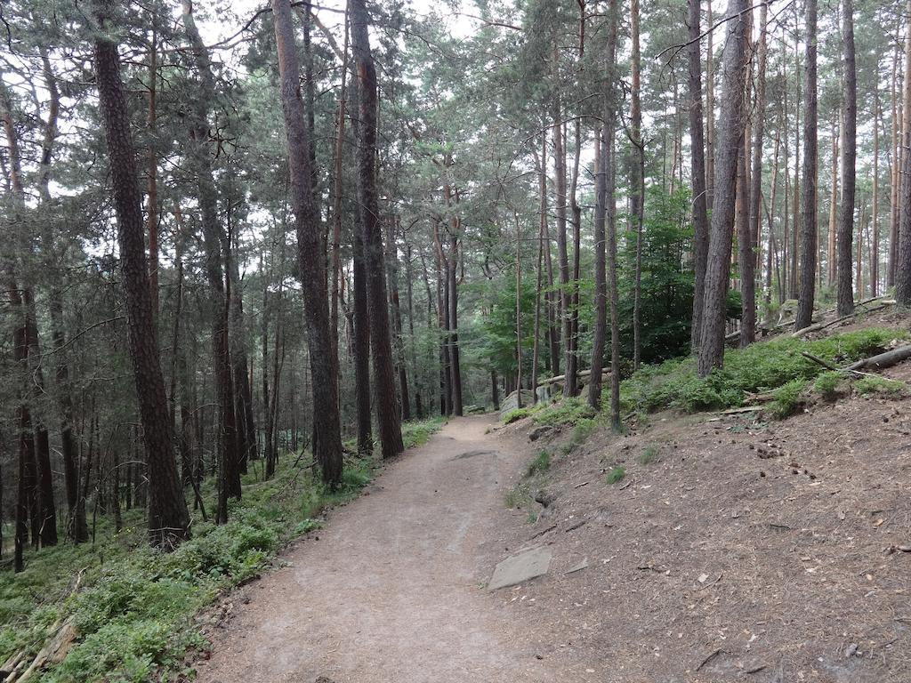 Landgasthof Jaegerstuebchen Neustadt an der Weinstraße Buitenkant foto