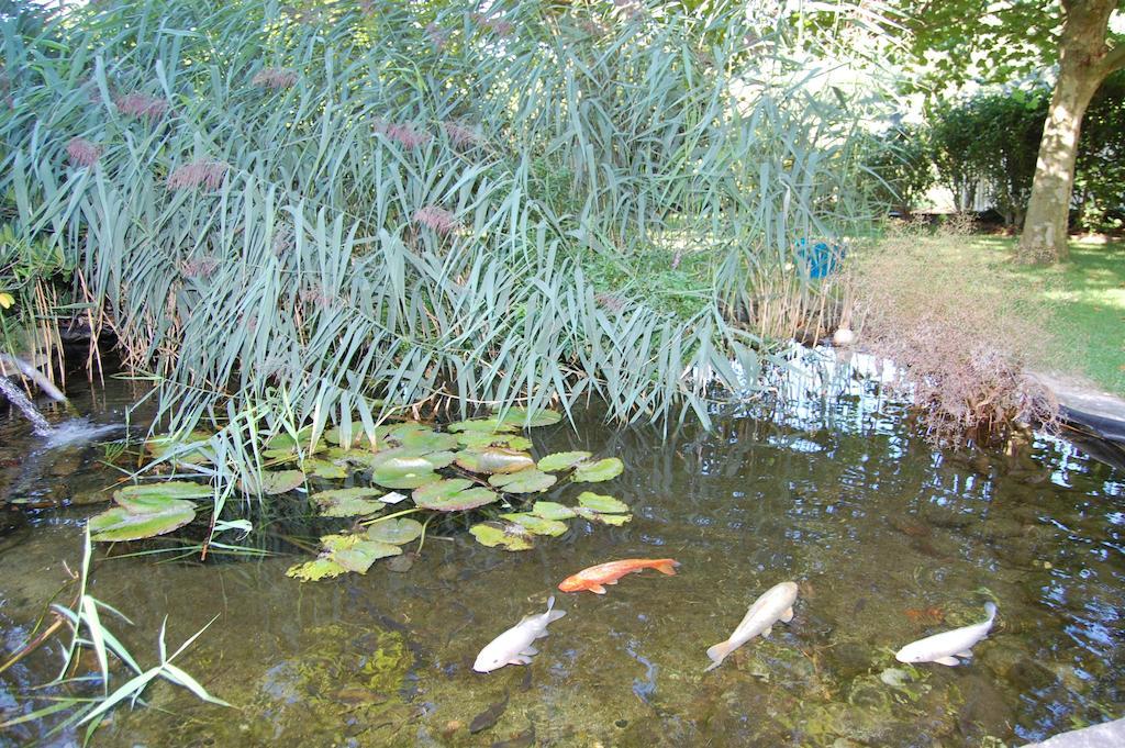 Landgasthof Jaegerstuebchen Neustadt an der Weinstraße Buitenkant foto