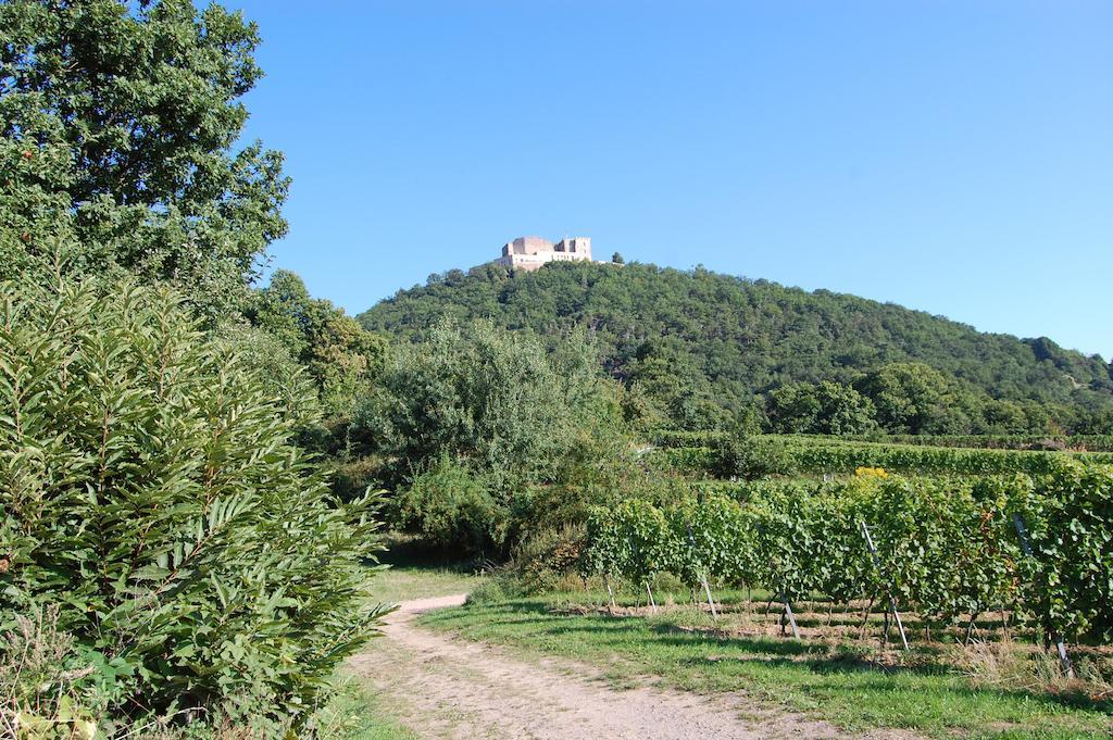 Landgasthof Jaegerstuebchen Hotel Neustadt an der Weinstraße Buitenkant foto